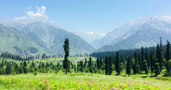 Why 3-Day Kashmir Trips Often Leave Travelers Disappointed